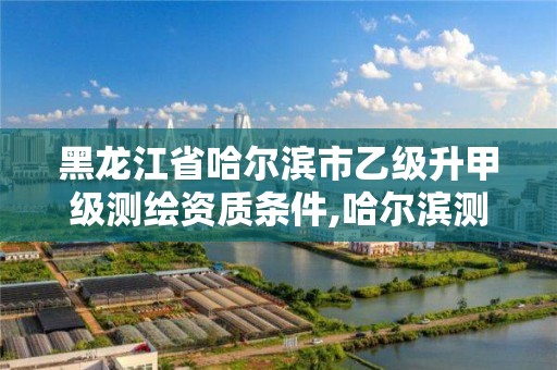 黑龙江省哈尔滨市乙级升甲级测绘资质条件,哈尔滨测绘招聘信息。