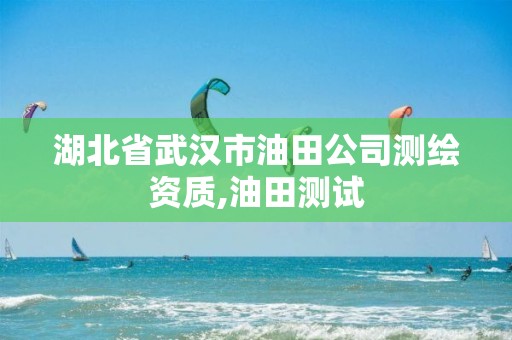 湖北省武汉市油田公司测绘资质,油田测试