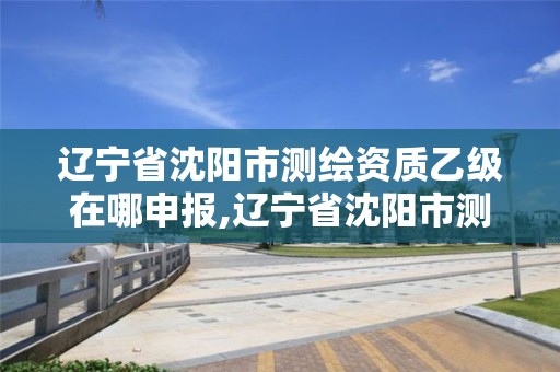 辽宁省沈阳市测绘资质乙级在哪申报,辽宁省沈阳市测绘资质乙级在哪申报的