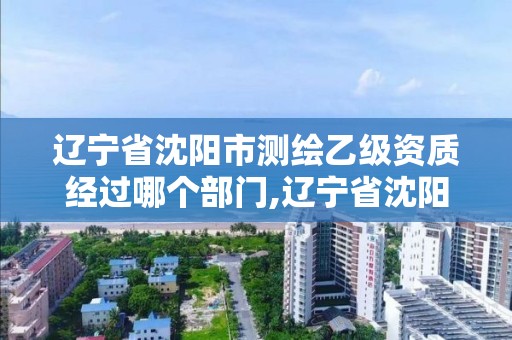 辽宁省沈阳市测绘乙级资质经过哪个部门,辽宁省沈阳市测绘乙级资质经过哪个部门审核