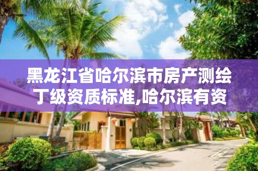 黑龙江省哈尔滨市房产测绘丁级资质标准,哈尔滨有资质房屋测量公司