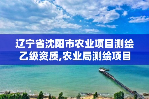 辽宁省沈阳市农业项目测绘乙级资质,农业局测绘项目