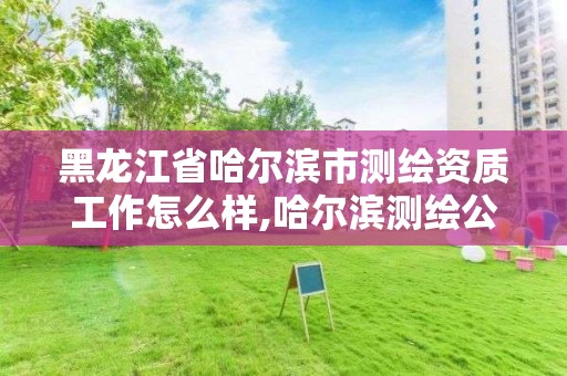 黑龙江省哈尔滨市测绘资质工作怎么样,哈尔滨测绘公司有哪些