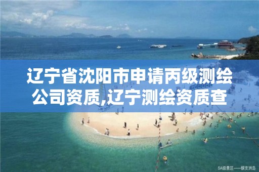 辽宁省沈阳市申请丙级测绘公司资质,辽宁测绘资质查询