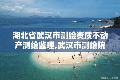 湖北省武汉市测绘资质不动产测绘监理,武汉市测绘院电话