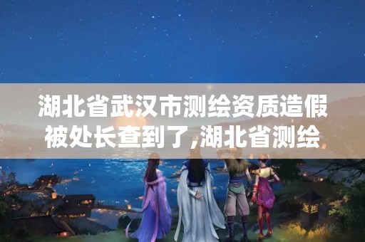 湖北省武汉市测绘资质造假被处长查到了,湖北省测绘资质管理系统。