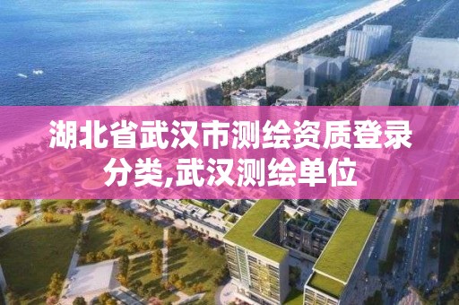 湖北省武汉市测绘资质登录分类,武汉测绘单位