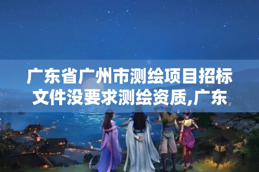 广东省广州市测绘项目招标文件没要求测绘资质,广东省测绘资质办理流程