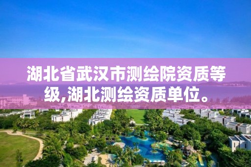 湖北省武汉市测绘院资质等级,湖北测绘资质单位。