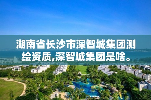 湖南省长沙市深智城集团测绘资质,深智城集团是啥。