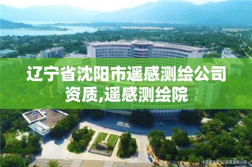 辽宁省沈阳市遥感测绘公司资质,遥感测绘院