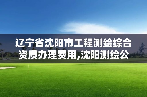 辽宁省沈阳市工程测绘综合资质办理费用,沈阳测绘公司招聘信息最新招聘。