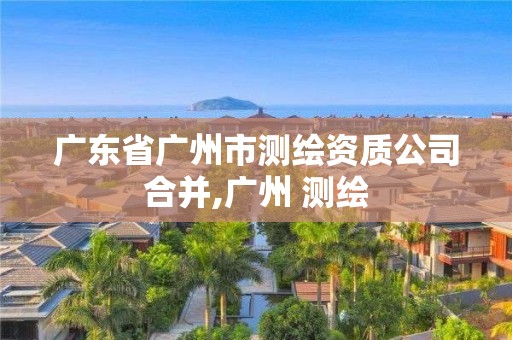 广东省广州市测绘资质公司合并,广州 测绘