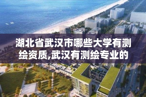 湖北省武汉市哪些大学有测绘资质,武汉有测绘专业的大学