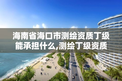 海南省海口市测绘资质丁级能承担什么,测绘丁级资质申报条件。