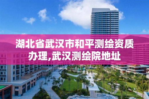 湖北省武汉市和平测绘资质办理,武汉测绘院地址