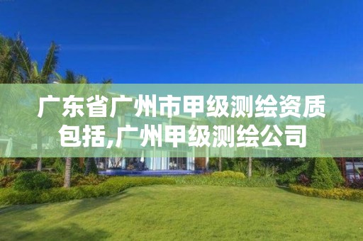 广东省广州市甲级测绘资质包括,广州甲级测绘公司