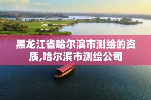 黑龙江省哈尔滨市测绘的资质,哈尔滨市测绘公司