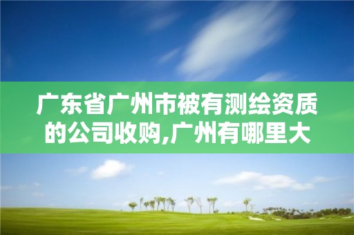 广东省广州市被有测绘资质的公司收购,广州有哪里大的测绘公司。