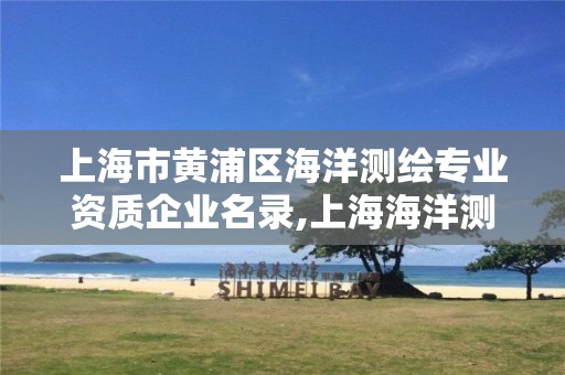 上海市黄浦区海洋测绘专业资质企业名录,上海海洋测绘公司