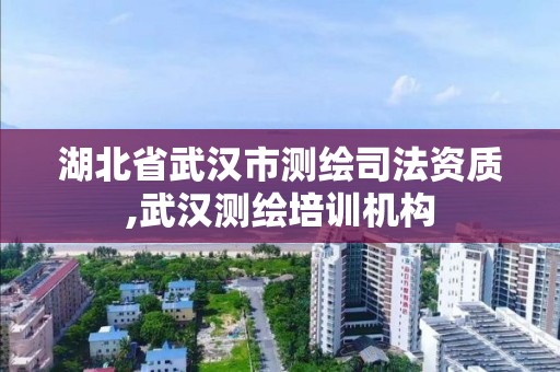 湖北省武汉市测绘司法资质,武汉测绘培训机构