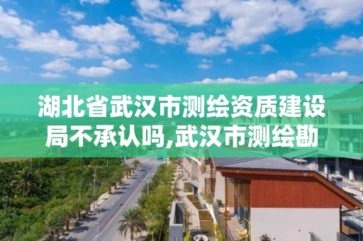 湖北省武汉市测绘资质建设局不承认吗,武汉市测绘勘察设计甲级资质公司。