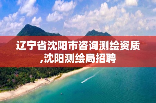 辽宁省沈阳市咨询测绘资质,沈阳测绘局招聘