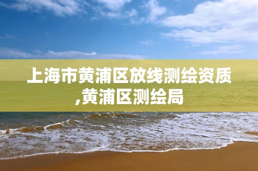 上海市黄浦区放线测绘资质,黄浦区测绘局