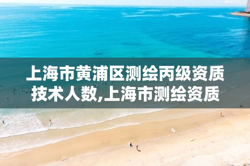 上海市黄浦区测绘丙级资质技术人数,上海市测绘资质单位名单