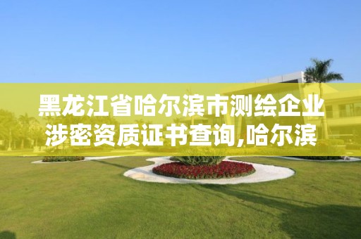 黑龙江省哈尔滨市测绘企业涉密资质证书查询,哈尔滨涉密资质公司查询。