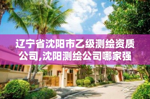 辽宁省沈阳市乙级测绘资质公司,沈阳测绘公司哪家强哪家好