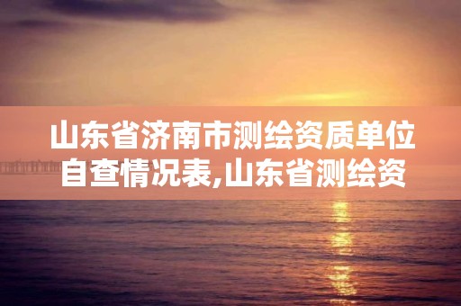 山东省济南市测绘资质单位自查情况表,山东省测绘资质专用章图片