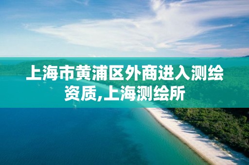 上海市黄浦区外商进入测绘资质,上海测绘所