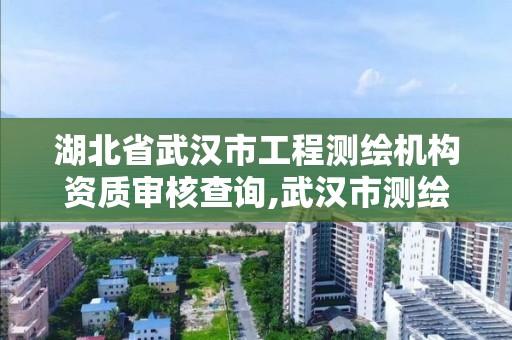 湖北省武汉市工程测绘机构资质审核查询,武汉市测绘工程技术规定。