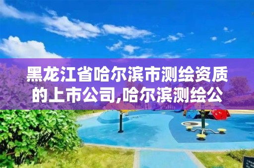 黑龙江省哈尔滨市测绘资质的上市公司,哈尔滨测绘公司哪家好