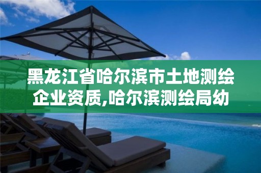 黑龙江省哈尔滨市土地测绘企业资质,哈尔滨测绘局幼儿园是民办还是公办