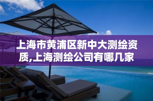 上海市黄浦区新中大测绘资质,上海测绘公司有哪几家