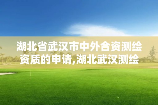 湖北省武汉市中外合资测绘资质的申请,湖北武汉测绘公司排行榜。