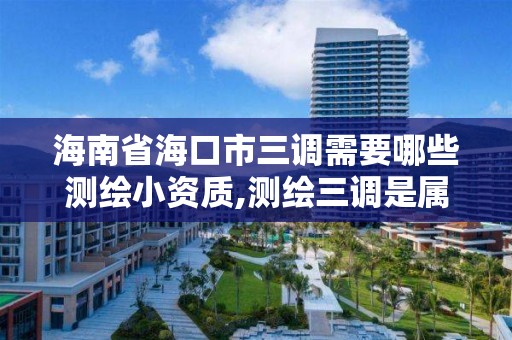 海南省海口市三调需要哪些测绘小资质,测绘三调是属于什么工作。