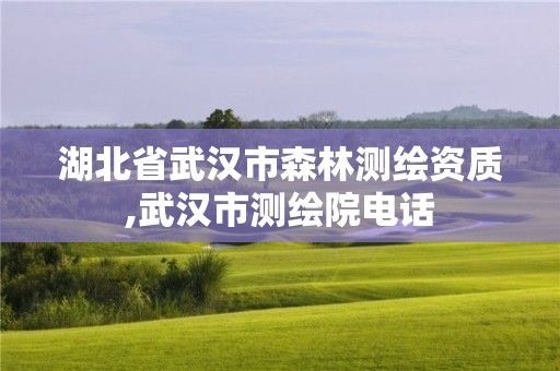 湖北省武汉市森林测绘资质,武汉市测绘院电话