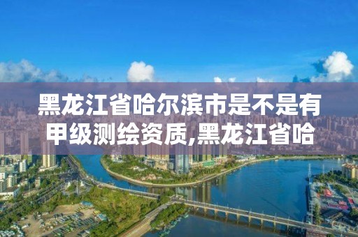 黑龙江省哈尔滨市是不是有甲级测绘资质,黑龙江省哈尔滨市是不是有甲级测绘资质的公司。