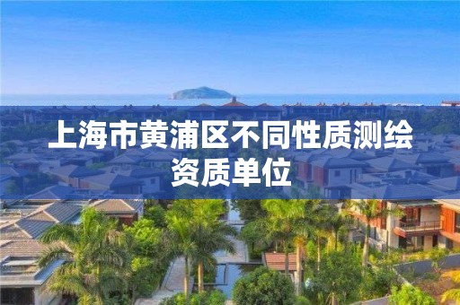 上海市黄浦区不同性质测绘资质单位