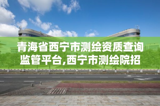 青海省西宁市测绘资质查询监管平台,西宁市测绘院招聘公示