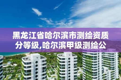 黑龙江省哈尔滨市测绘资质分等级,哈尔滨甲级测绘公司