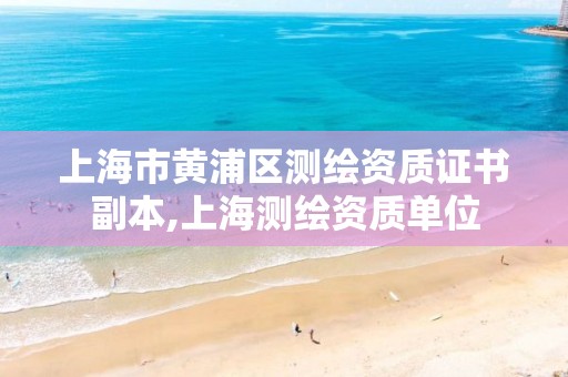 上海市黄浦区测绘资质证书副本,上海测绘资质单位