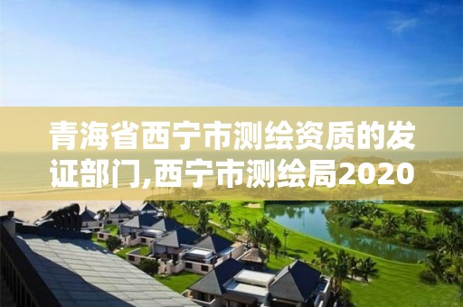 青海省西宁市测绘资质的发证部门,西宁市测绘局2020招聘