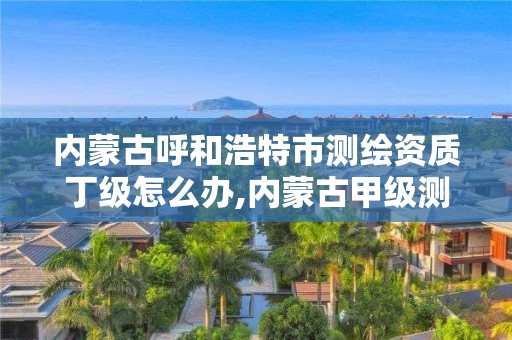 内蒙古呼和浩特市测绘资质丁级怎么办,内蒙古甲级测绘资质单位。