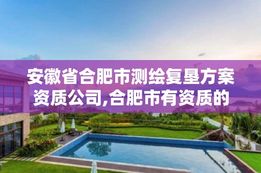 安徽省合肥市测绘复垦方案资质公司,合肥市有资质的测绘公司