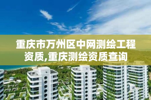 重庆市万州区中网测绘工程资质,重庆测绘资质查询