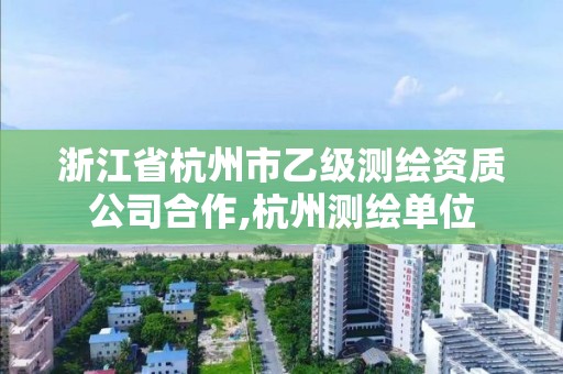 浙江省杭州市乙级测绘资质公司合作,杭州测绘单位